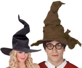 vergeven Leerling Autonomie Harry Potter hoed kopen? | Shop NU | Feestkleding.nl