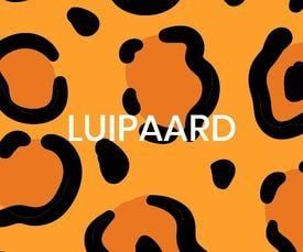 Luipaardprint feestartikelen