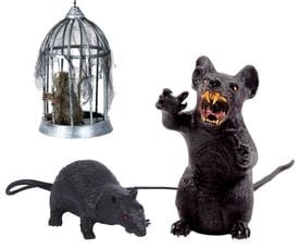Muizen & ratten decoratie