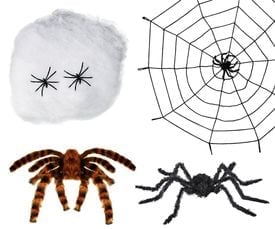 Nep spin & spinnenweb
