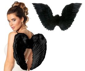 Zwarte engel vleugels