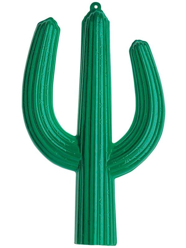 3D cactus decoratie