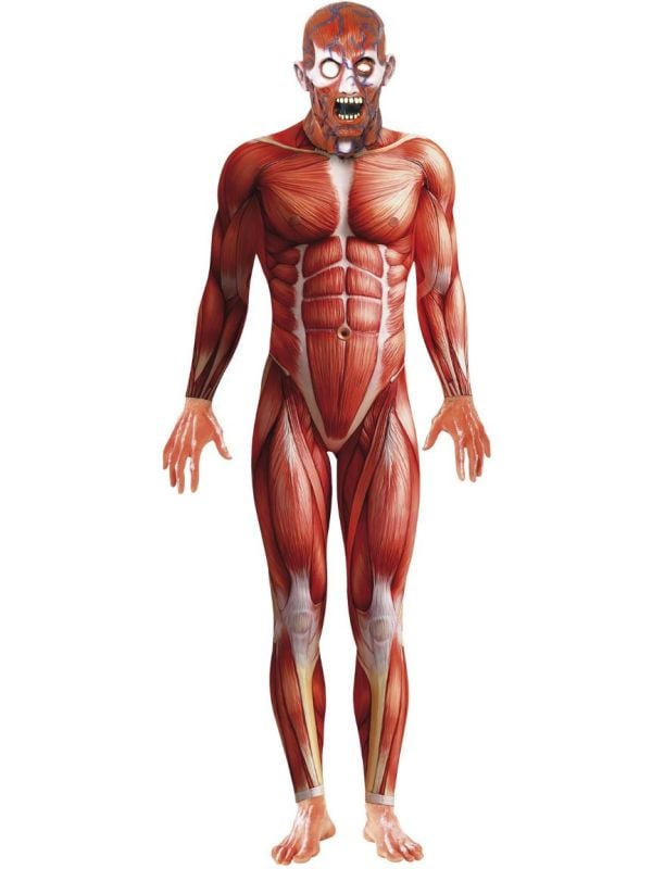 Anatomie man kostuum rood