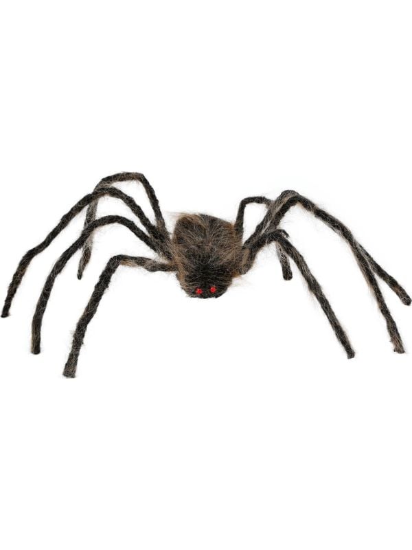Bruine spin 75 cm halloween