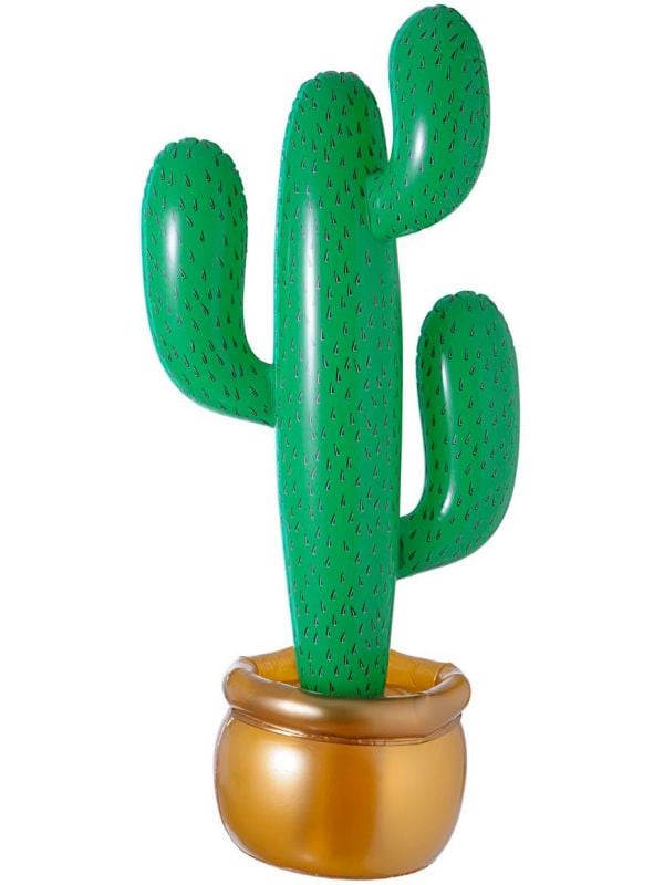 Cactus opblaasbaar