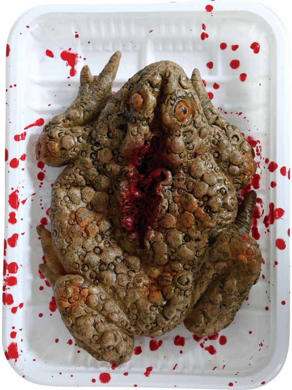 Dienblad met ontleedde kikker halloween