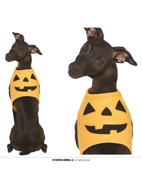 Dieren kostuum pompoen maat S halloween main product photo