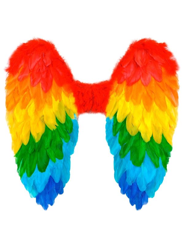 Engelenvleugels Regenboog Veren Feest Dames Heren