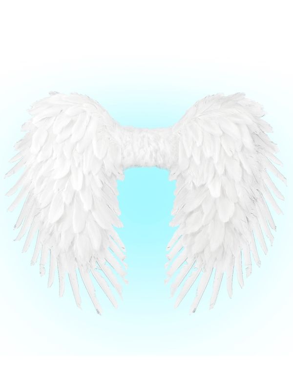 Engelenvleugels Wit Feest Dames Heren