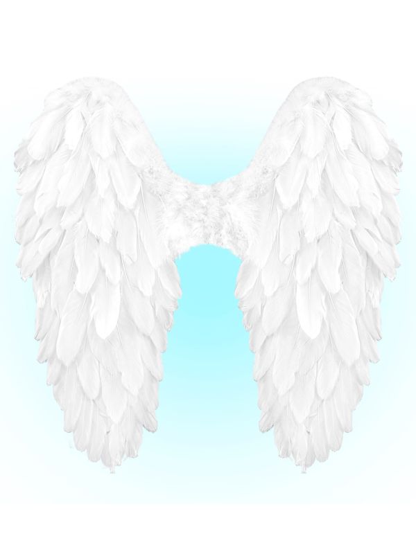 Engelenvleugels Wit Veren Feest Dames Heren
