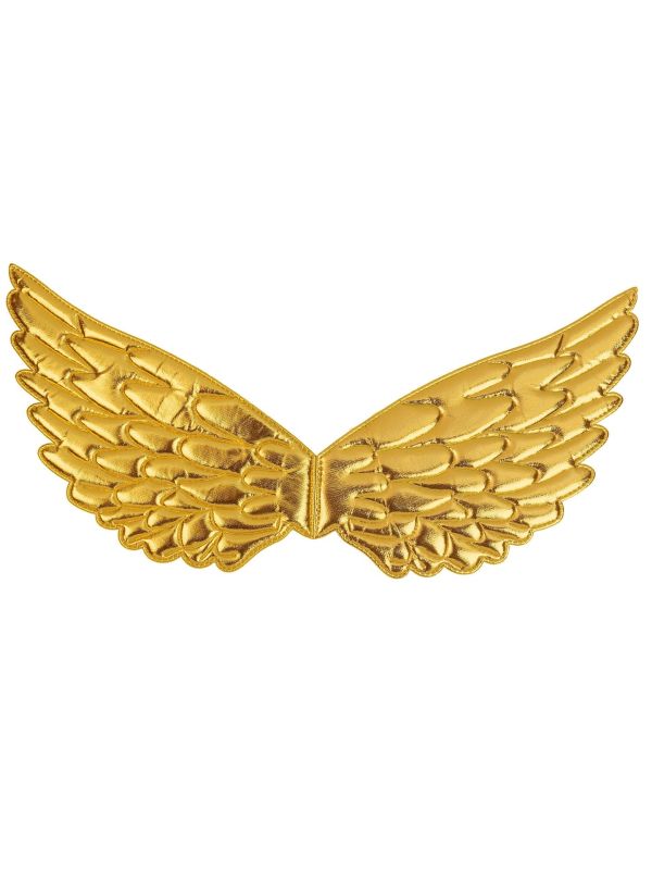 Fee Vleugels Goud Accessoire