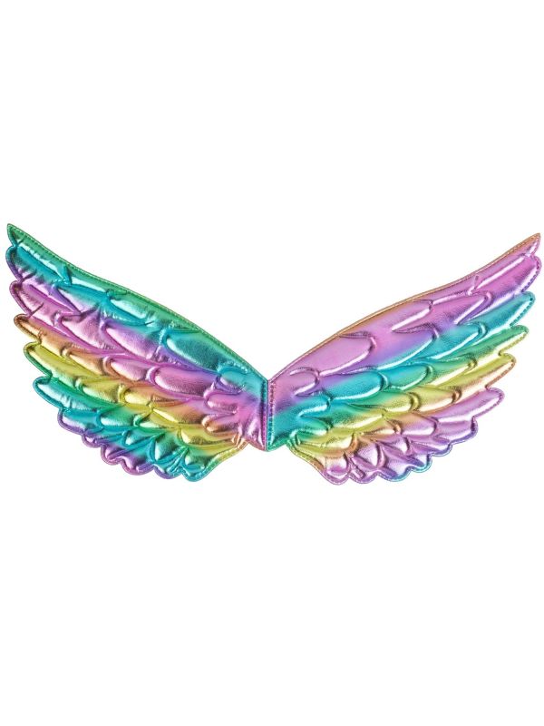 Fee Vleugels Regenboog Accessoire