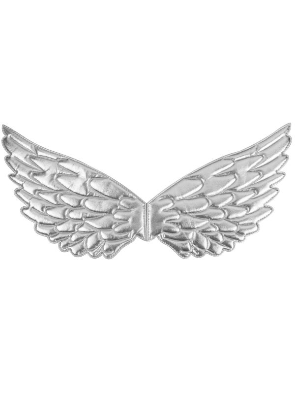 Fee Vleugels Zilver Accessoire