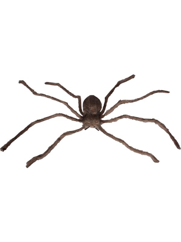 Giant Spider Bruin Zwart Halloween Nep Spin