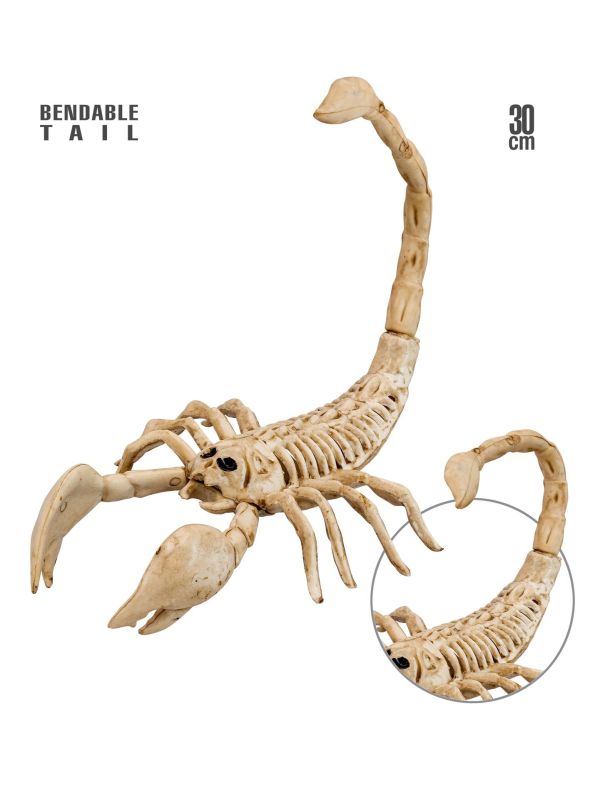 Griezelig Schorpioen Skelet Decoratie