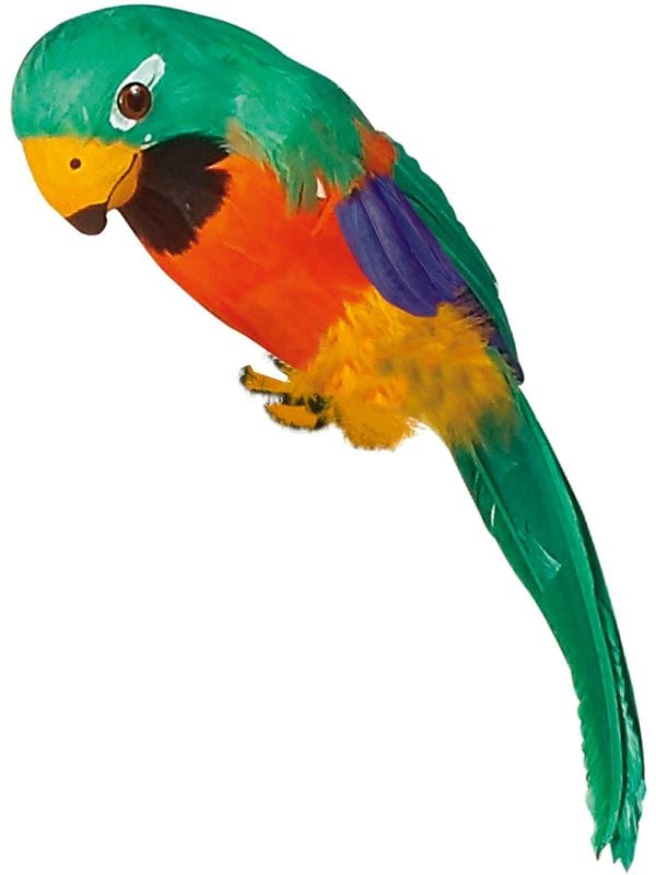 Groene papegaai met veren
