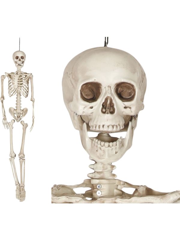 Halloween hangend skelet 160cm