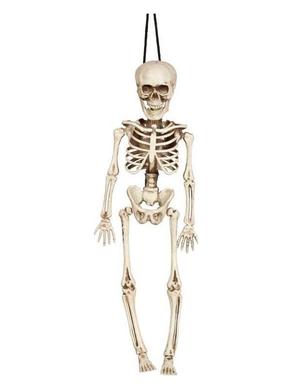 Halloween hangend skelet 40cm