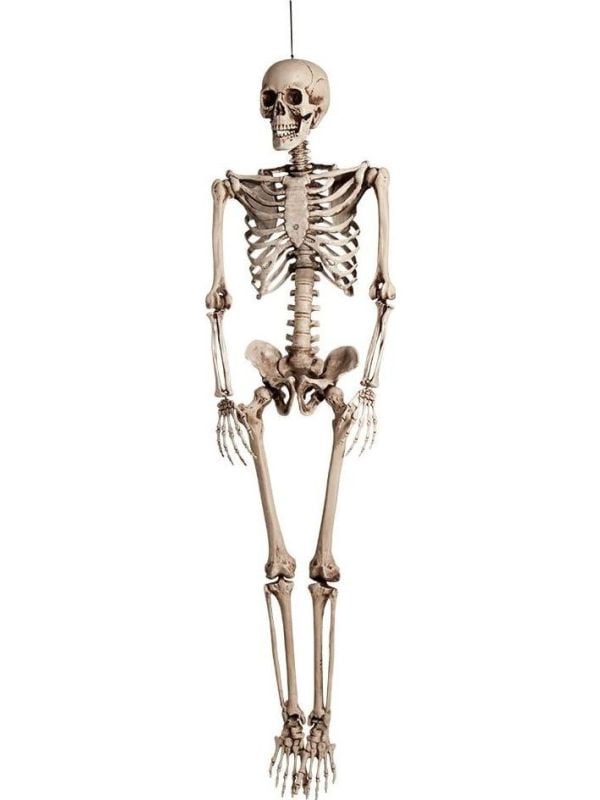 Halloween skelet decoratie hangend