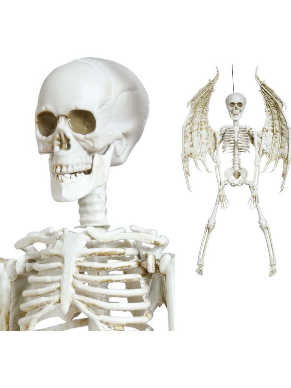 Hangdecoratie skelet met vleugels 46 cm halloween