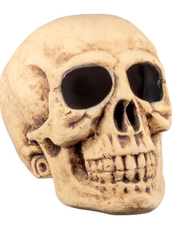 Holle schedel decoratie halloween
