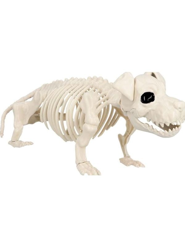 Hondenskelet Halloween Decoraties