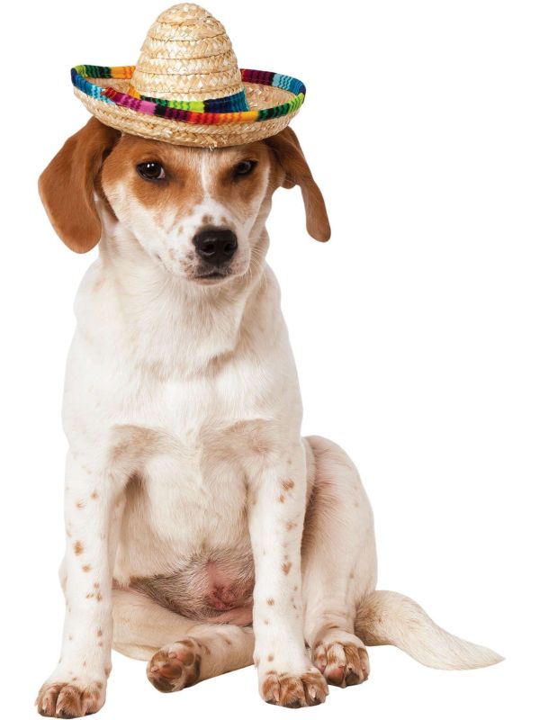 Huisdier Sombrero Voor Honden