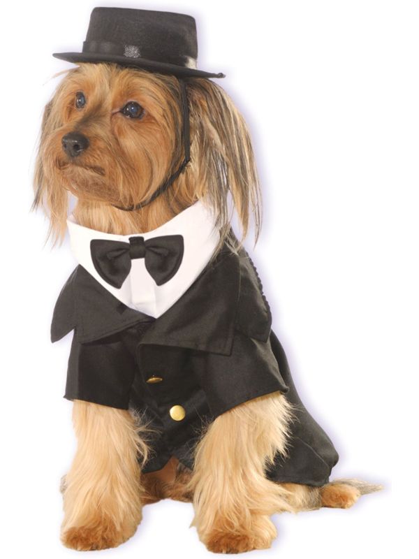 Huisdier Tuxedo Outfit Hond