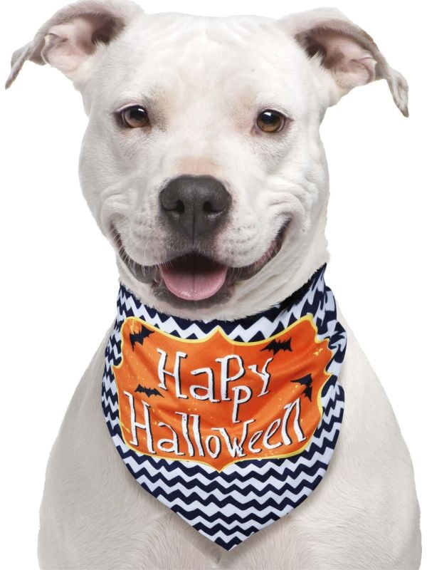 Huisdieren sjaal "Happy Halloween" halloween