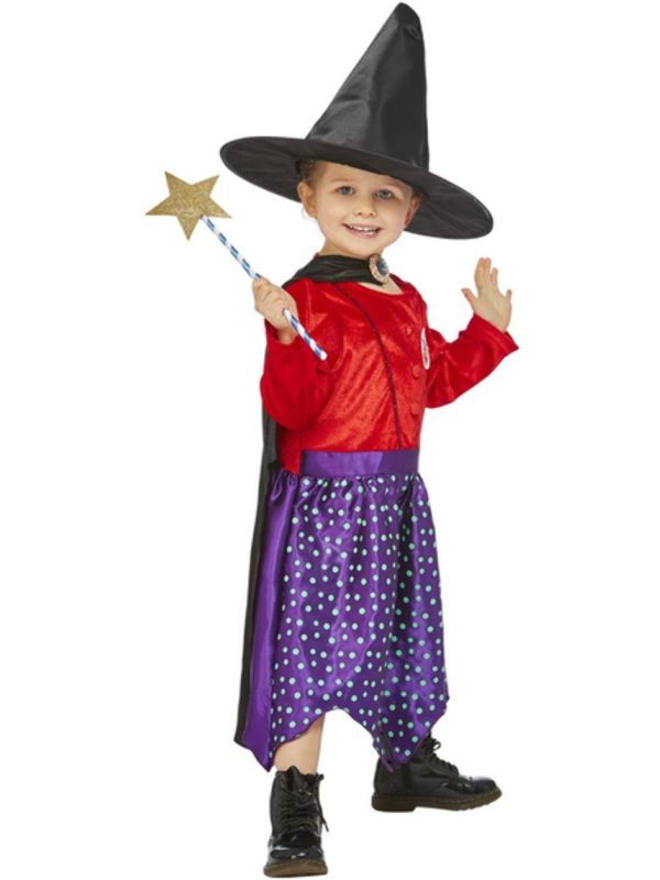 Julia Donaldson Room On The Broom Kostuum Meisjes Zwart en Paars main product photo