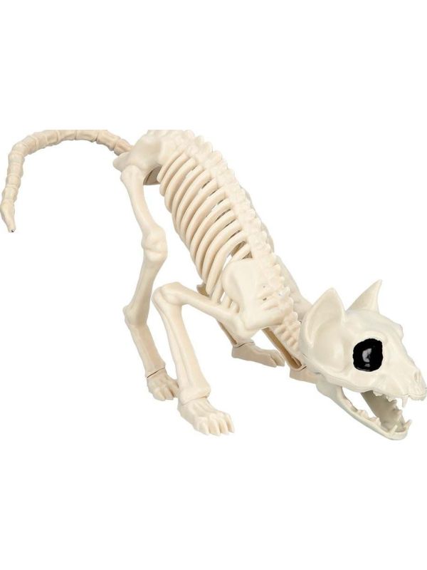 Kattenskelet Halloween Decoraties