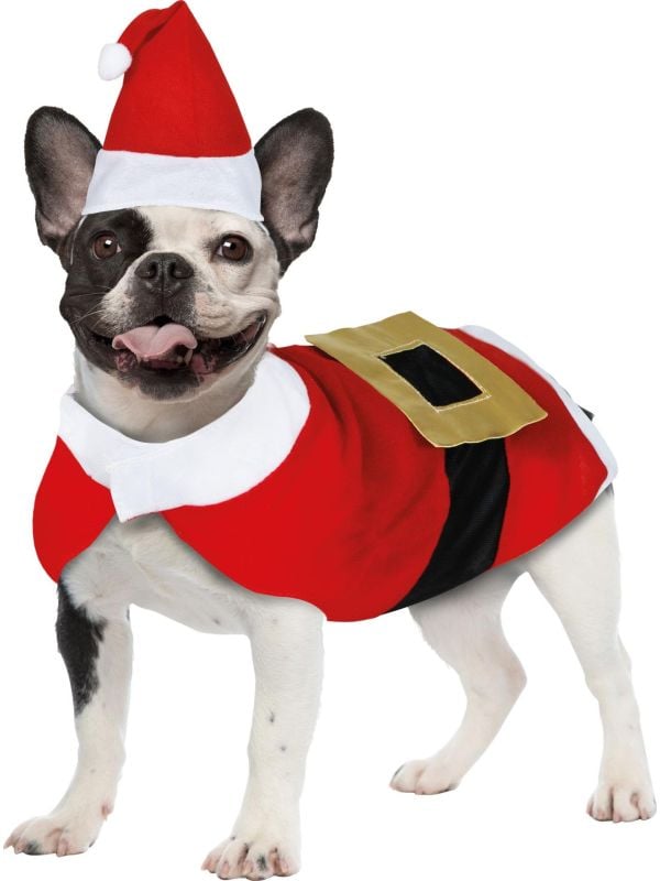 Kerstman kostuum voor honden main product photo