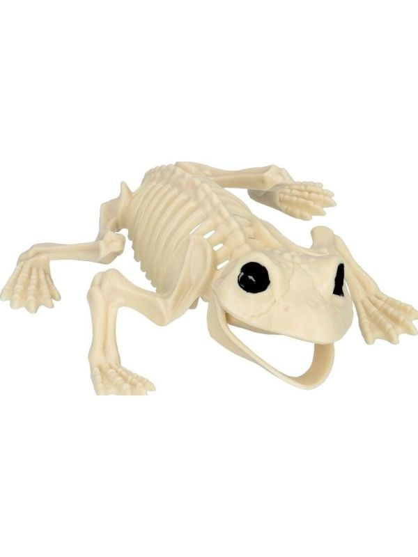 Kikker Skelet Halloween Decoraties