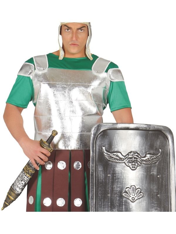 Kort romeins zwaard met schede main product photo