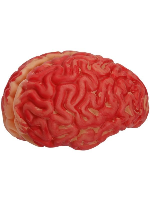 Mensen hersens rood halloween main product photo