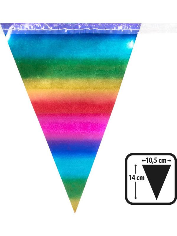 Metallic rainbow mini vlaggenlijn main product photo