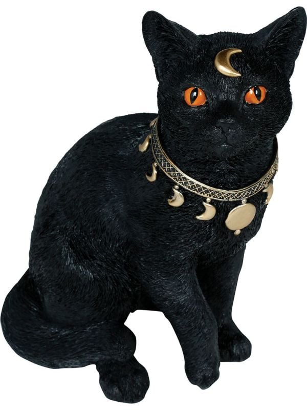 Mystieke Zwarte Kat Halloween main product photo