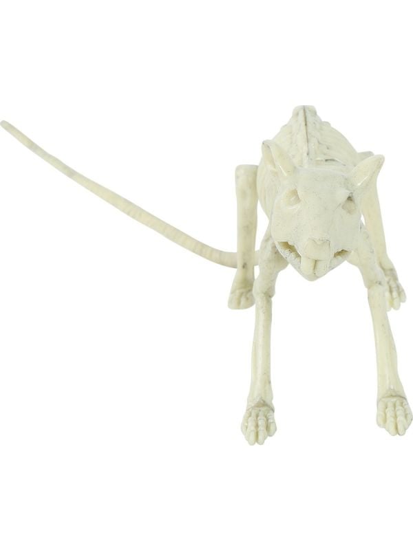 Rat skelet Halloween decoratie