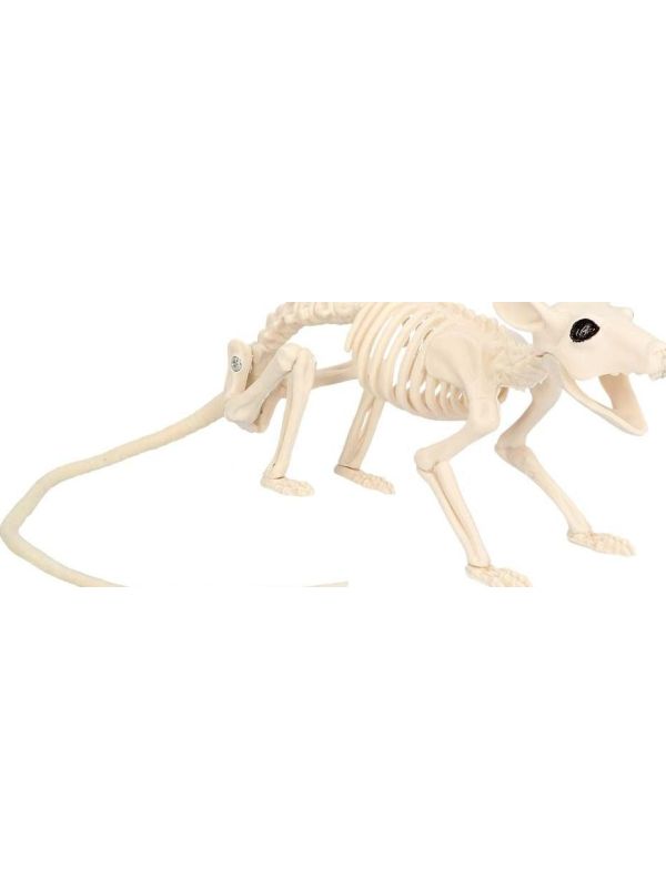 Rattenskelet Halloween Decoraties Standaard