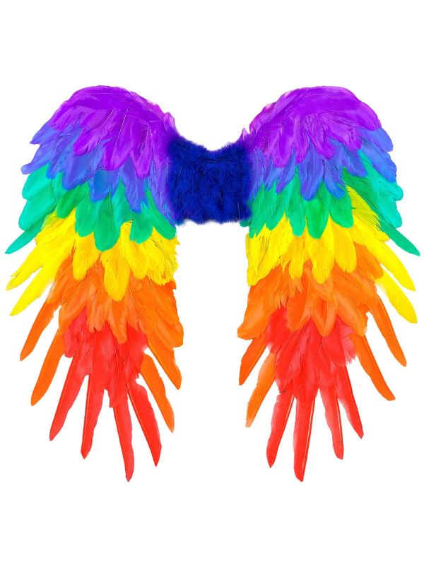 Regenboog Feeënvleugels Opvouwbaar
