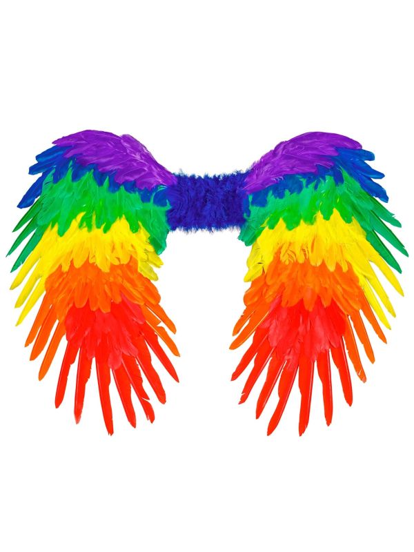Regenboog Veren Vleugels Feest Dames Heren