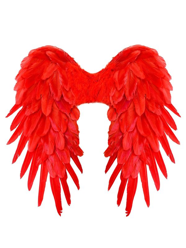 Rode Feeënvleugels Opvouwbaar