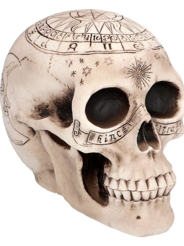 Schedel Astronomie Halloween Decoratie