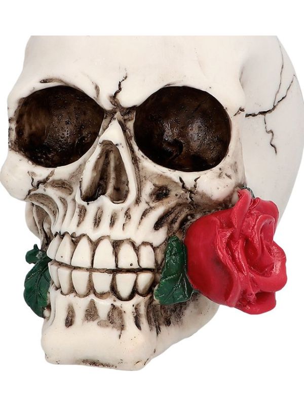 Schedel Casanova Halloween Decoratie
