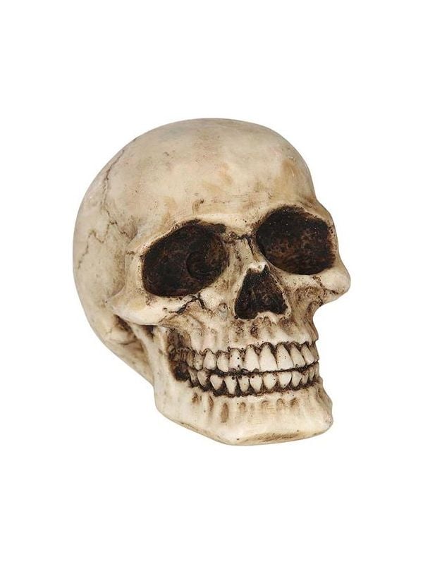 Schedel decoratie 8 cm halloween