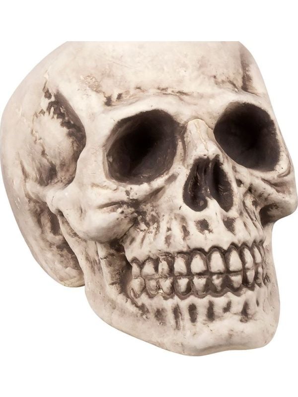 Schedel decoratie bighead