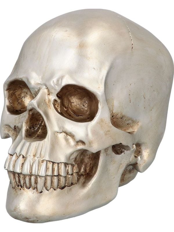 Schedel Shine Halloween Decoratie