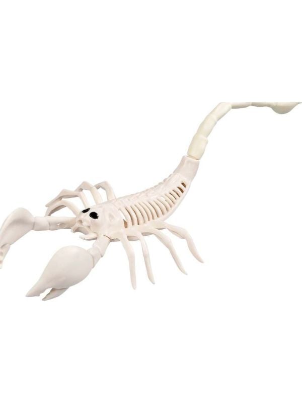 Schorpioenenskelet Halloween Decoratie