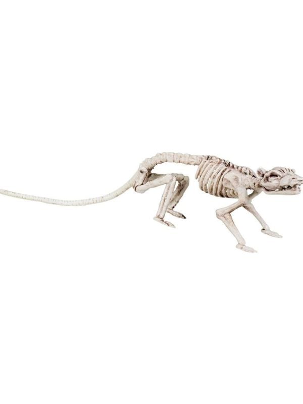 Skelet rat decoratie
