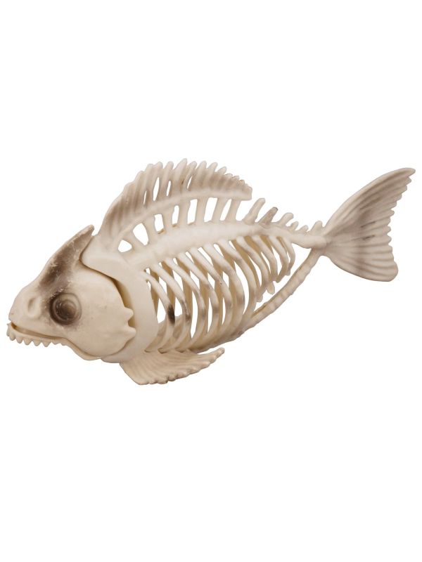 Skelet Vis Beeldje Halloween